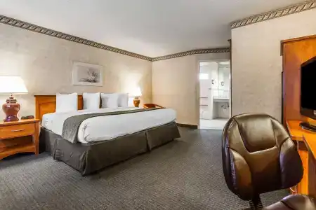Quality Inn & Suites - 39