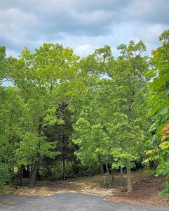 The Park at Foxborough - 11