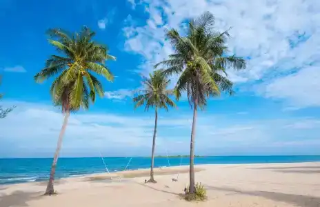 Sirarun - 16