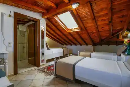 La Paloma - 37