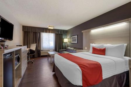 Best Western Plus Village Park Inn - 3