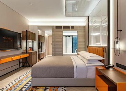 Canopy by Hilton Hangzhou West Lake - 67