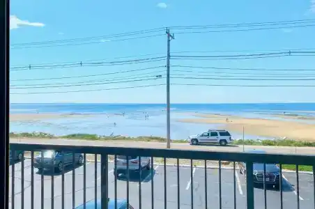 Harbor - 28