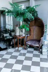 Club Tree - 14