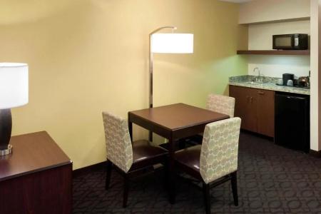 SpringHill Suites by Marriott Dallas Downtown / West End - 54