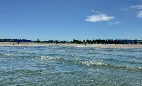 Coast - 46