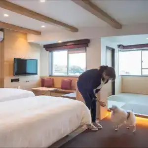 Izumigo Toba Dog Paradise - 37
