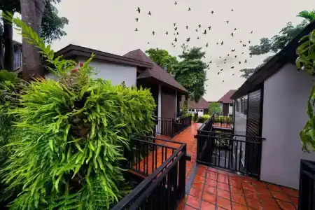 The Cliff Elegance Resort - 58