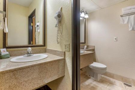 Comfort Inn at Thousand Hills - 8