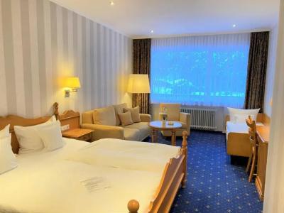 Garni Fürst von Waldeck - 28