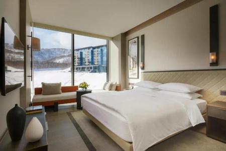 Park Hyatt Niseko Hanazono - 21