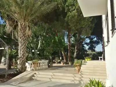 Baglio il Giovinetto - 11