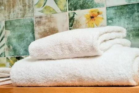 Best Western Plus Hôtel Vannes Centre Ville - 88