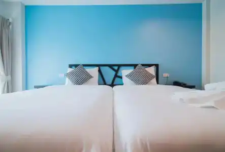Sleep Whale - 17