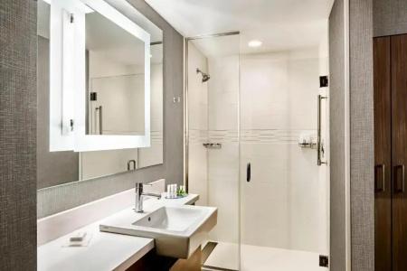SpringHill Suites by Marriott Atlanta Northwest - 34