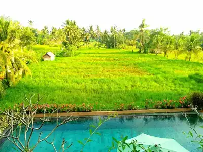 Urban Styles Inata Bisma Ubud - 13