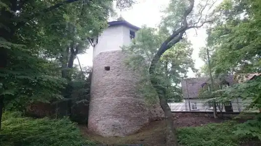 Maximilian - 12