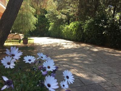 Anastazia Luxury Suites & Spa - 25