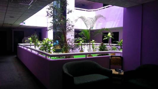New Penninsula - 1