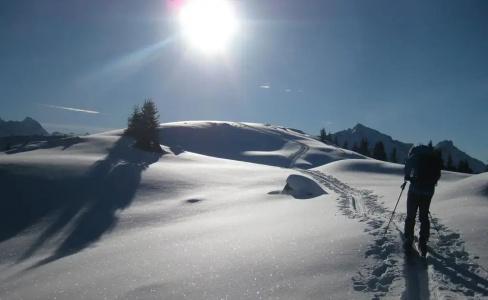 Pension Steiermark - 16