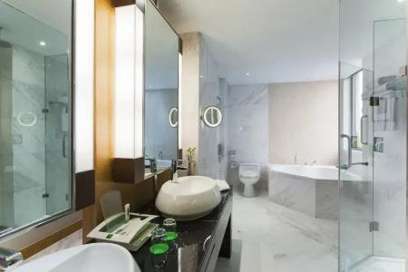Holiday Inn Nanjing Aqua City, An Ihg - 154