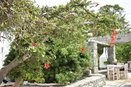Andriani's Guest House - 147