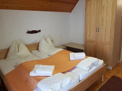 Gasperin Bohinj - 84