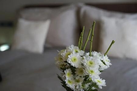 Venere b&b - 35