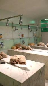 New Piscine, Spa & Wellness Center - 33