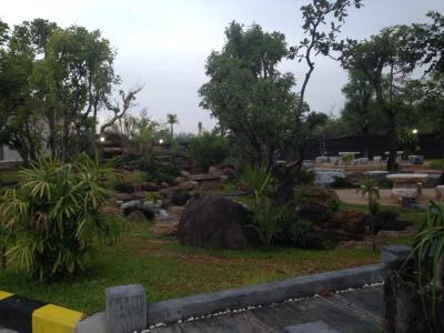 Green Garden - 9