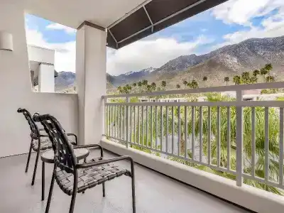 Palm Canyon - 25