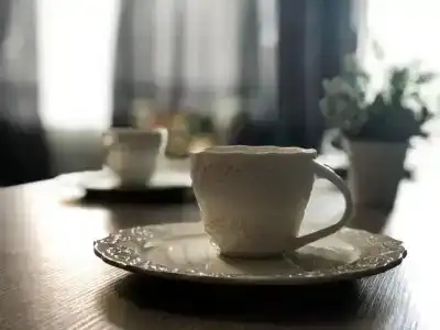 Artек - 21