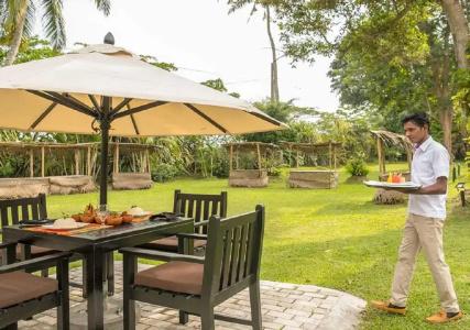 Ekho Weligama - 14