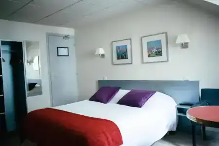 Hôtel Carmin - 51