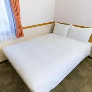 Toyoko Inn Ekimae - 18