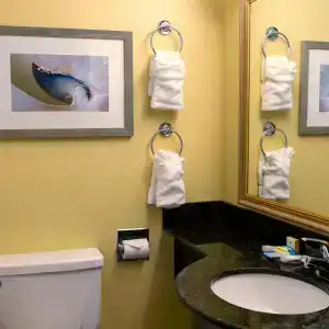 Holiday Inn Express & Suites Virginia Beach Oceanfront, An Ihg - 16