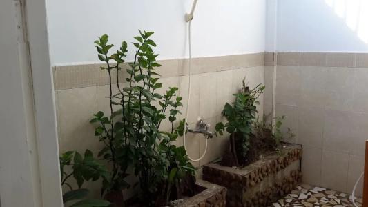 Bamboo Cottages - 66