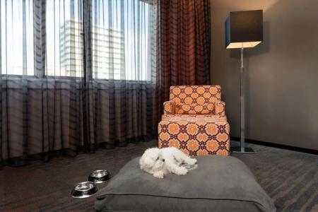 Sheraton Essen - 48