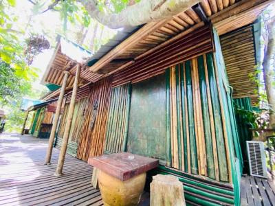 Khao sok tree house resort - 67