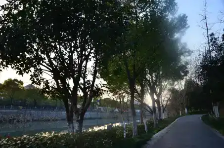 SSAW Boutique Hangzhou Good Fortune - 12