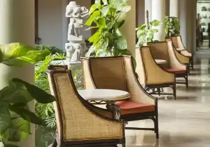 Paradisus Punta Cana Resort - All Inclusive - 15