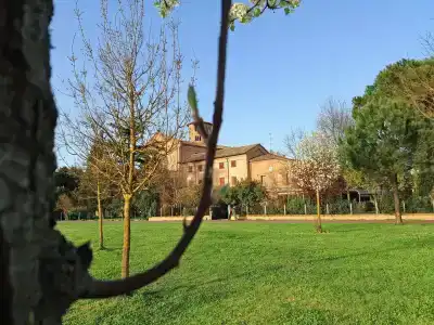 Classensis - 20