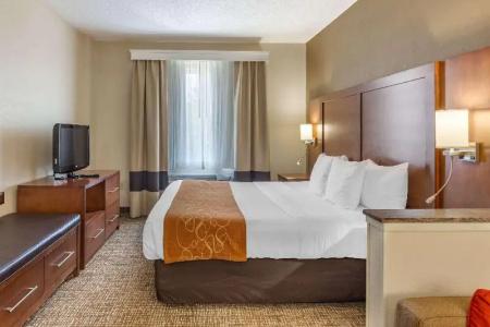 Comfort Suites Walnut Creek - 52