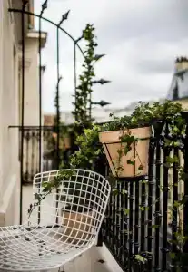 Le Pigalle - 19