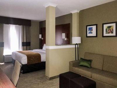 Comfort Suites - University - 6