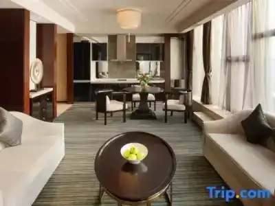 Radisson Blu Plaza Chongqing - 92