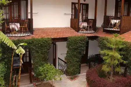 Villa Daffodil - 55