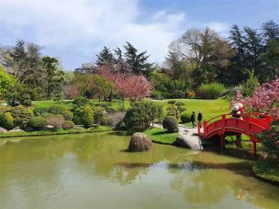 Novotel Toulouse Centre Compans Caffarelli - 22