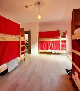 Aguere Nest - 6