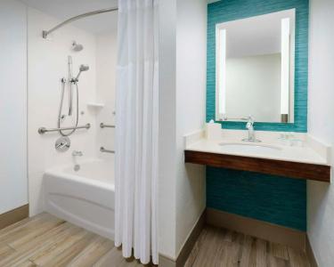 Hilton Garden Inn Orlando at SeaWorld - 10